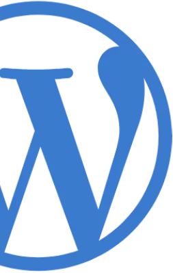 Dezvoltare magazin online Wordpress